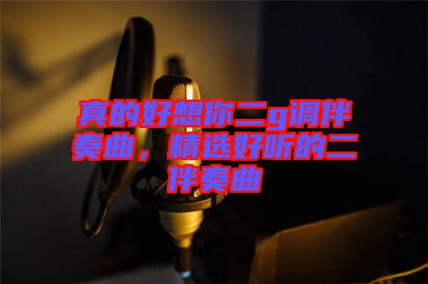 真的好想你二g調(diào)伴奏曲,精選好聽的二伴奏曲