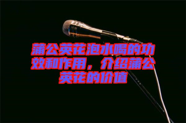 蒲公英花泡水喝的功效和作用,介紹蒲公英花的價值