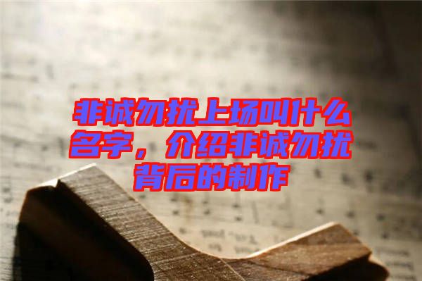 非誠勿擾上場叫什么名字,介紹非誠勿擾背后的制作