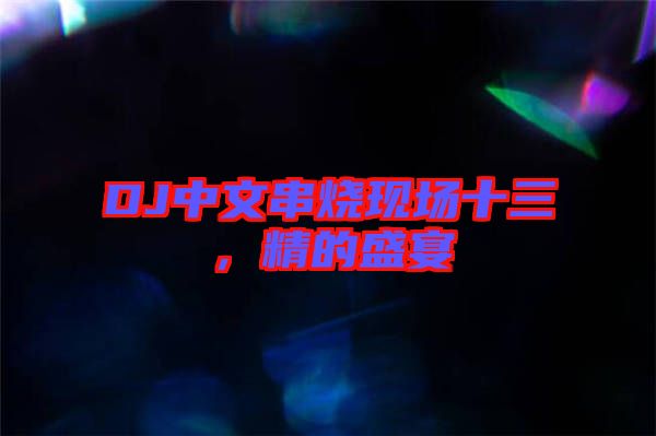 DJ中文串燒現場十三,精的盛宴