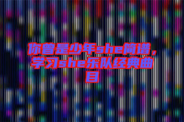 你曾是少年she簡譜,學習she樂隊經典曲目