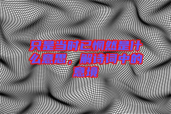只是當時已惘然是什么意思,解詩詞中的意境