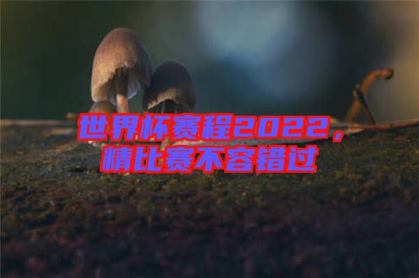 世界杯賽程2022，精比賽不容錯過