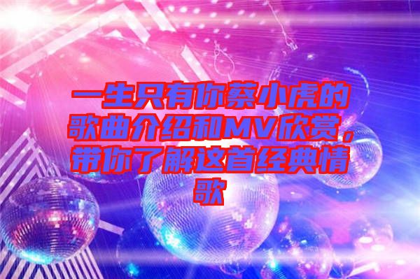 一生只有你蔡小虎的歌曲介紹和MV欣賞，帶你了解這首經典情歌