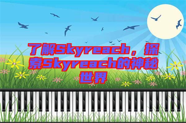 了解Skyreach,探索Skyreach的神秘世界