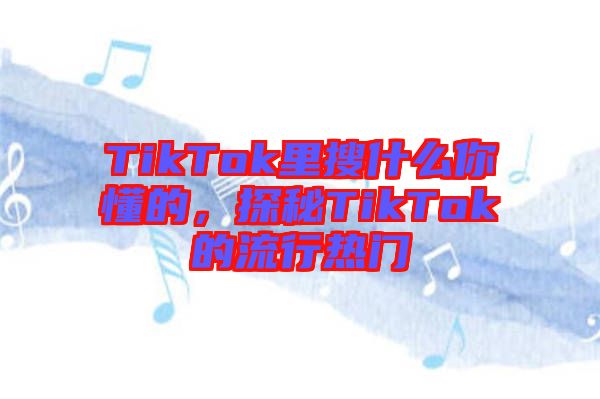 TikTok里搜什么你懂的,探秘TikTok的流行熱門