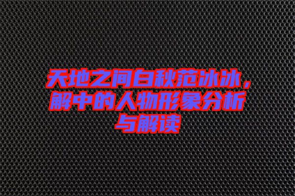 天地之間白秋范冰冰,解中的人物形象分析與解讀