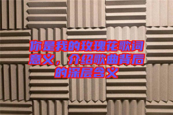 你是我的玫瑰花歌詞意義，介紹歌曲背后的深層含義