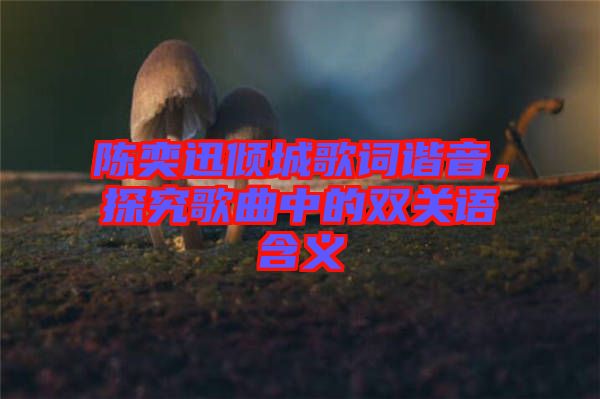 陳奕迅傾城歌詞諧音,探究歌曲中的雙關語含義
