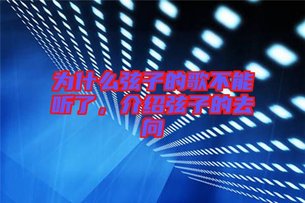 為什么弦子的歌不能聽了,介紹弦子的去向