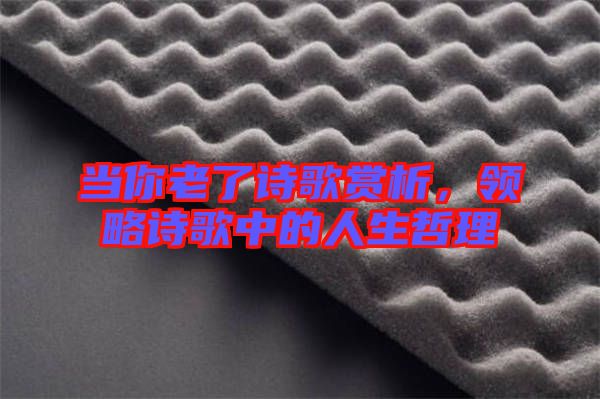 當你老了詩歌賞析,領略詩歌中的人生哲理