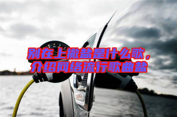 別在上撒鹽是什么歌,介紹網絡流行歌曲鹽