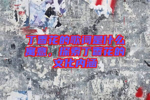 丁香花的歌詞是什么寓意,探索丁香花的文化內(nèi)涵