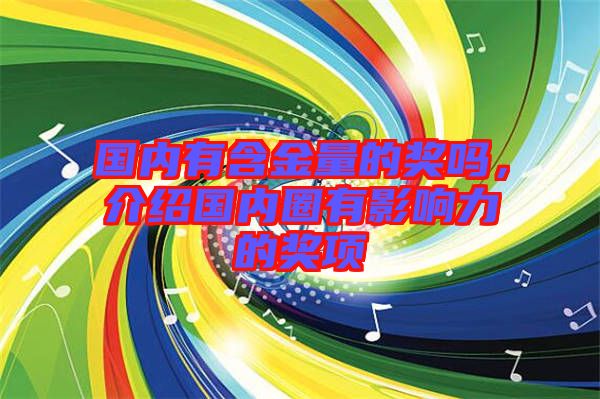 國(guó)內(nèi)有含金量的獎(jiǎng)嗎,介紹國(guó)內(nèi)圈有影響力的獎(jiǎng)項(xiàng)