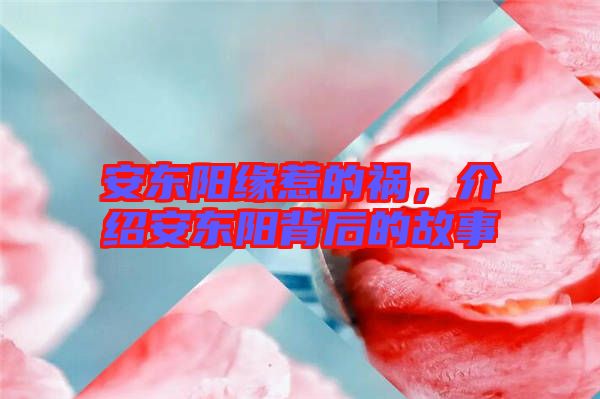 安東陽緣惹的禍,介紹安東陽背后的故事