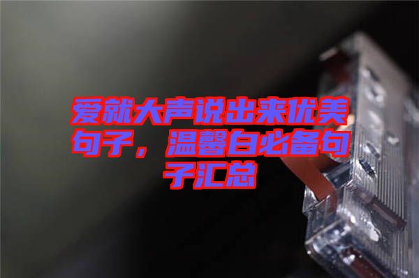 愛就大聲說出來優美句子,溫馨白必備句子匯總