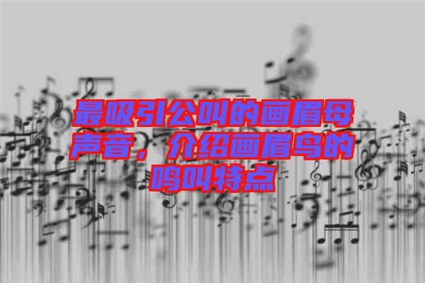 最吸引公叫的畫眉母聲音,介紹畫眉鳥的鳴叫特點