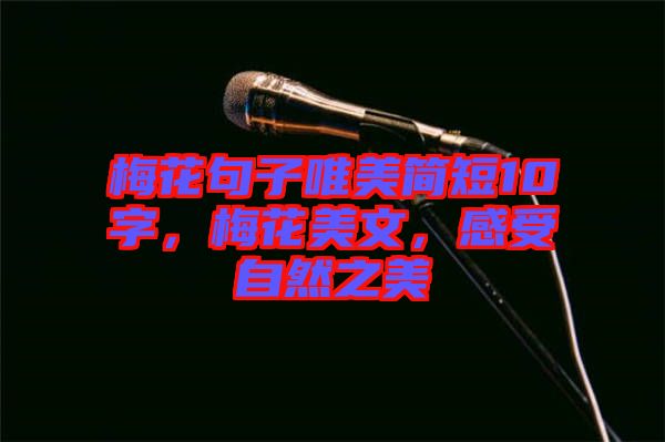 梅花句子唯美簡(jiǎn)短10字,梅花美文,感受自然之美