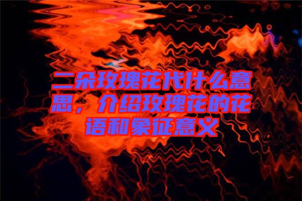 二朵玫瑰花代什么意思，介紹玫瑰花的花語和象征意義