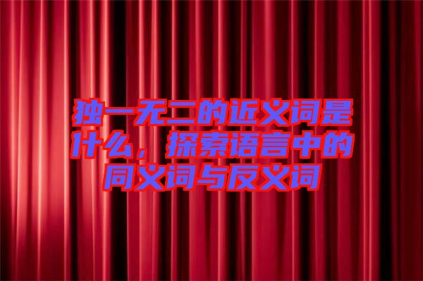 獨一無二的近義詞是什么,探索語言中的同義詞與反義詞