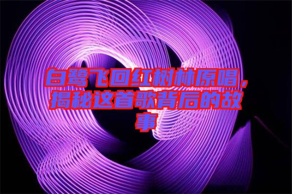 白鷺飛回紅樹林原唱,揭秘這首歌背后的故事