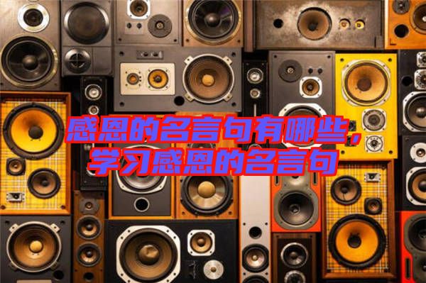 感恩的名言句有哪些,學習感恩的名言句