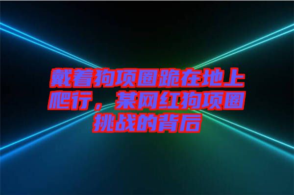 戴著狗項圈跪在地上爬行,某網紅狗項圈挑戰的背后