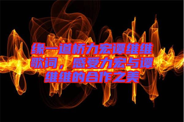 緣一道橋力宏譚維維歌詞,感受力宏與譚維維的合作之美