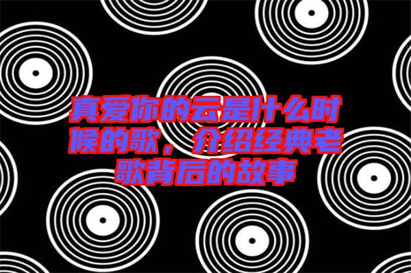 真愛你的云是什么時候的歌，介紹經典老歌背后的故事