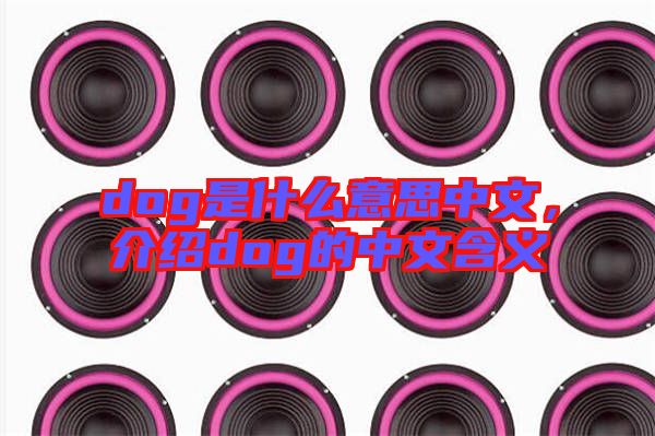 dog是什么意思中文,介紹dog的中文含義