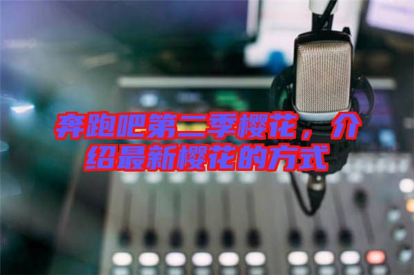 奔跑吧第二季櫻花,介紹最新櫻花的方式