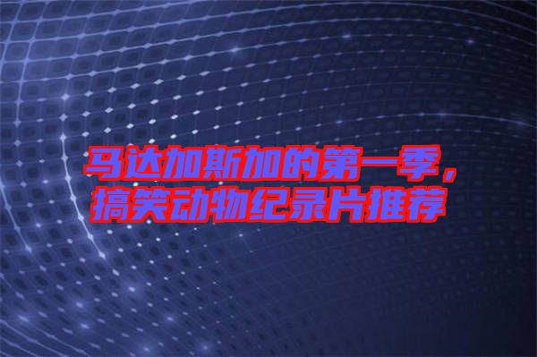 馬達加斯加的第一季,搞笑動物紀錄片推薦