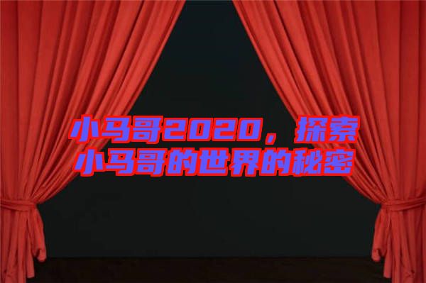 小馬哥2020,探索小馬哥的世界的秘密