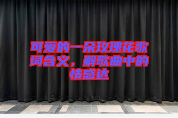可愛的一朵玫瑰花歌詞含義,解歌曲中的情感達