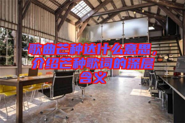 歌曲芒種達什么意思，介紹芒種歌詞的深層含義