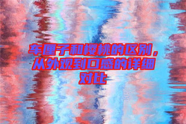 車?yán)遄雍蜋烟业膮^(qū)別,從外觀到口感的詳細(xì)對(duì)比