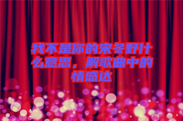 我不是你的宋冬野什么意思,解歌曲中的情感達