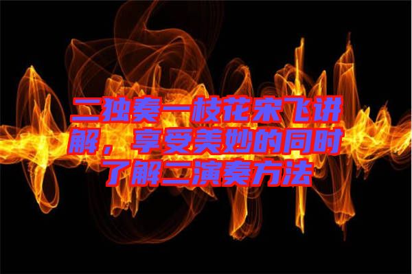 二獨(dú)奏一枝花宋飛講解，享受美妙的同時(shí)了解二演奏方法