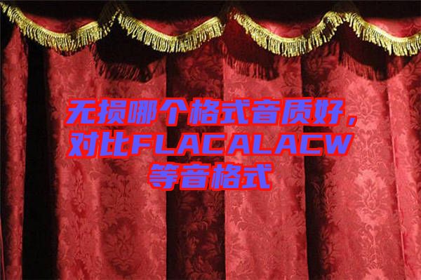 無損哪個格式音質好，對比FLACALACW等音格式