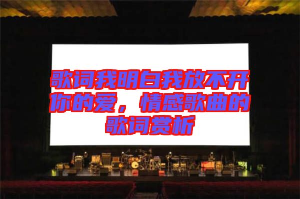 歌詞我明白我放不開你的愛,情感歌曲的歌詞賞析