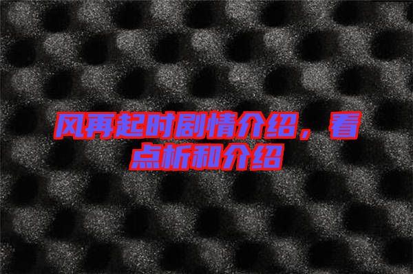 風再起時劇情介紹,看點析和介紹