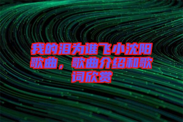 我的淚為誰飛小沈陽歌曲,歌曲介紹和歌詞欣賞