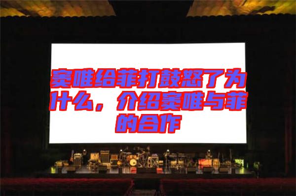 竇唯給菲打鼓怒了為什么，介紹竇唯與菲的合作