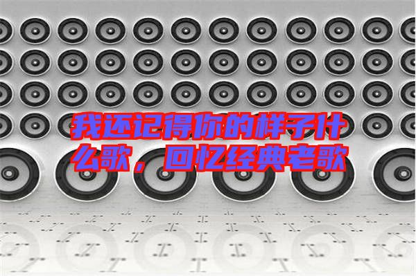 我還記得你的樣子什么歌,回憶經典老歌