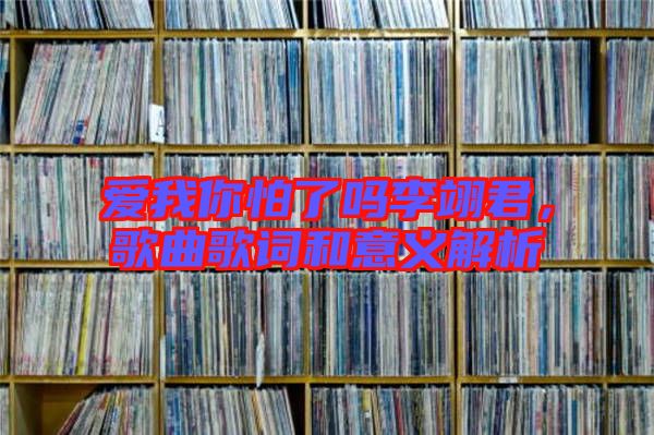 愛我你怕了嗎李翊君,歌曲歌詞和意義解析