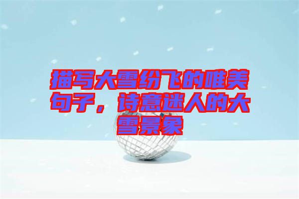 描寫(xiě)大雪紛飛的唯美句子,詩(shī)意迷人的大雪景象