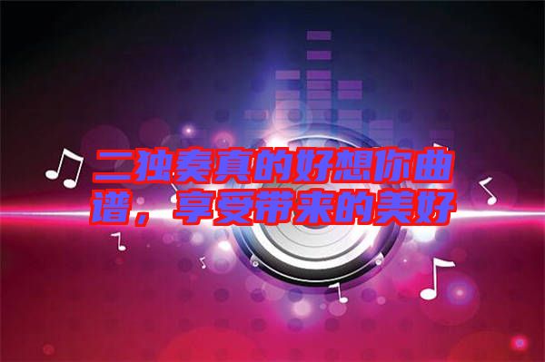 二獨(dú)奏真的好想你曲譜,享受帶來的美好