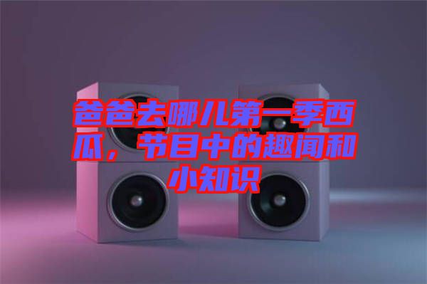 爸爸去哪兒第一季西瓜,節目中的趣聞和小知識