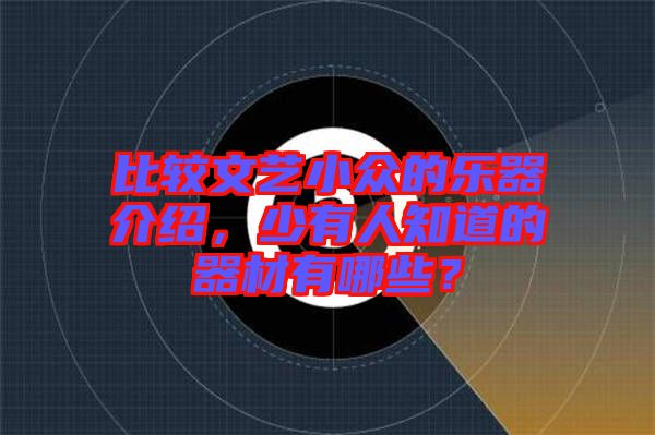 比較文藝小眾的樂器介紹,少有人知道的器材有哪些?