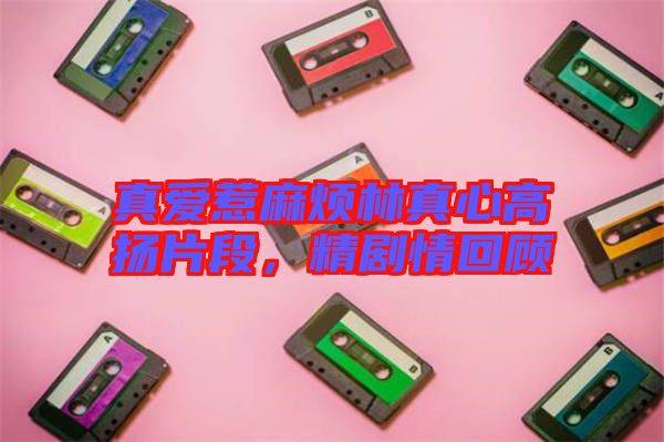 真愛惹麻煩林真心高揚片段,精劇情回顧